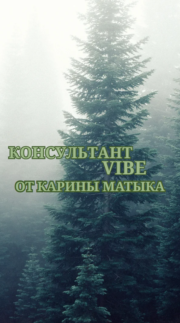 Твой ассистент - консультант VIBE