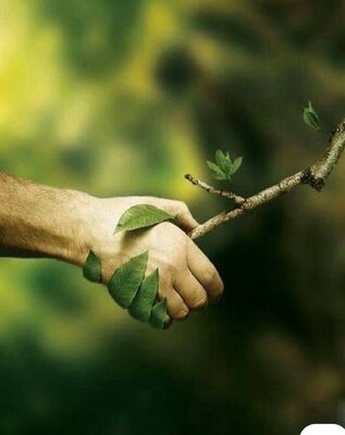 Голос земли