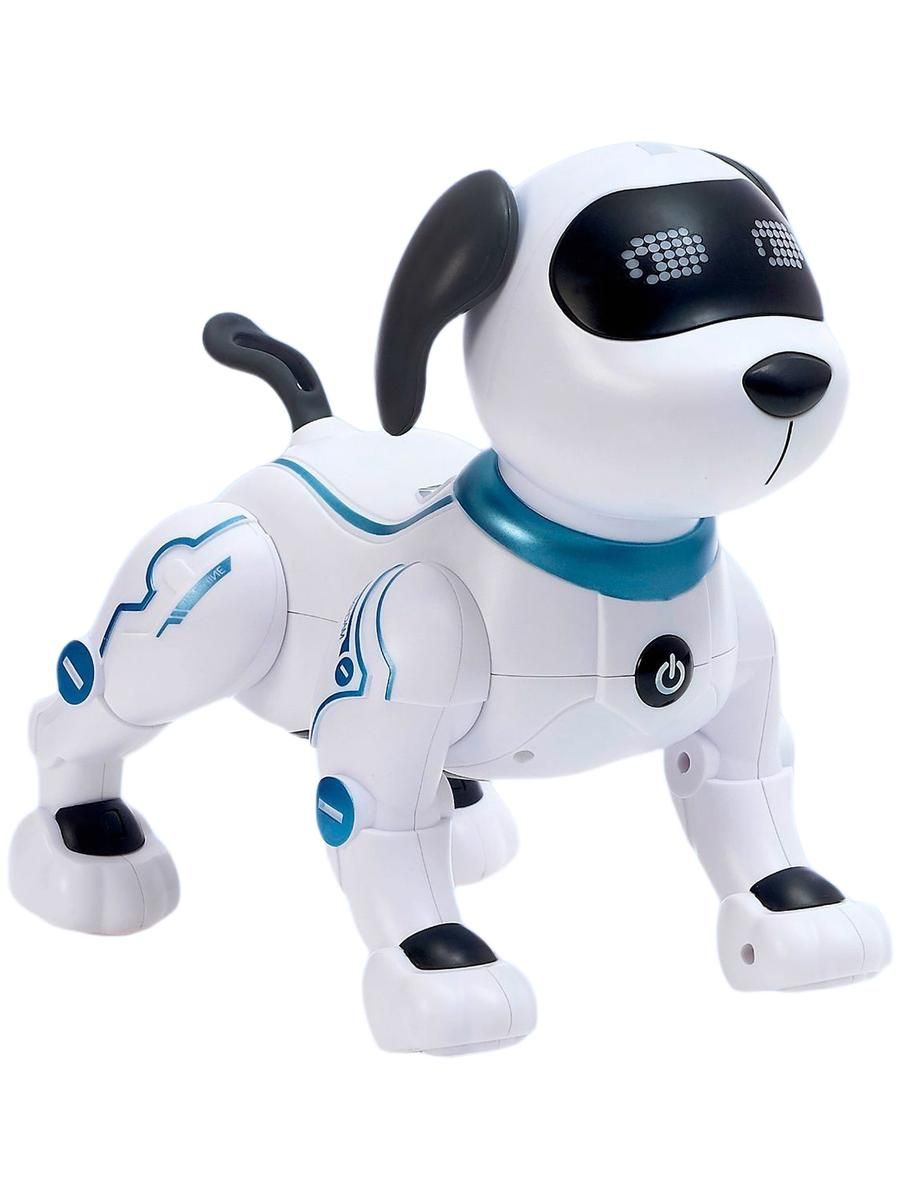 Знаток собачьих привычек